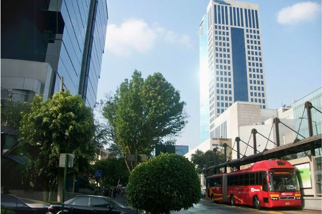Mexico office location